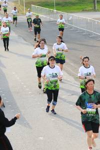 BIB: 
                            <button type="button" onclick="openModal(3550677)" class="btn btn-primary btn-sm float-right btn-popup" data-toggle="modal" data-target=".modal-high-quality">
                        <i class="fas fa-shopping-cart"></i> Add to Cart
                    </button>
                                            <button type="button" onclick="isThisMe(3550677, true)" class="btn btn-success btn-sm float-right btn-popup btn-isme hidden" data-toggle="tooltip" data-placement="bottom" title="นี่คือรูปของคุณใช่ไหม คลิกที่นี่เพื่อเอาเข้าอัลบั้ม">
                        <i class="fas fa-plus"></i> Add to album
                    </button>
                    <button type="button" onclick="isThisMe(3550677, false)" class="btn btn-warning btn-sm float-right btn-popup btn-isnotme hidden">
                        <i class="fas fa-ban"></i> Remove from album
                    </button>